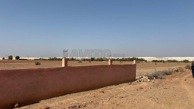 Terrain à vendre à Sidi Moussa Lhamri - 5