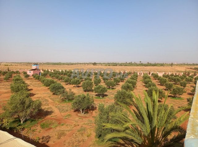 Ferme de 3 hectares à vendre près d'Agadir