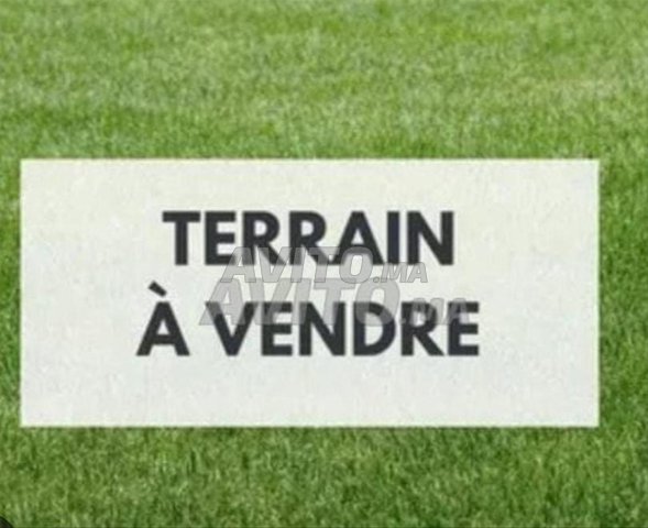 "Opportunités immobilières à Agadir : Terrains et fermes à Cité Adrar, Lots d'immeuble à Adrar"