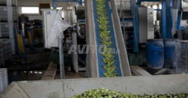 Promotion : Local Moderne de Production d'Huile d'Olive à Taounat - 500 000 DH - Agadir