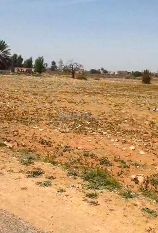 Terrains et fermes à Agadir : 15 000 m² de terrain en pleine propriété - Prix compétitif à 150.