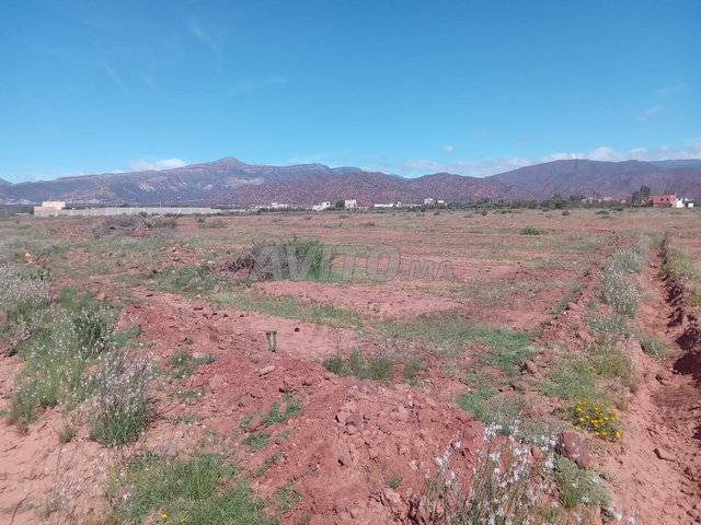 Terrains et fermes à Agadir, secteur Eddir : Terrain de 1000 m² à 200 000 DH