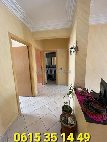 Image6