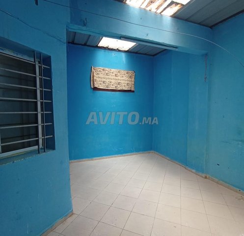 Image 8