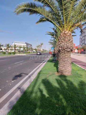 Appartements à vendre à Agadir, Haut Founty - 3 pièces, 115 m² - Prix sur demande