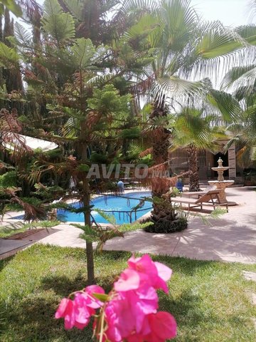 Locations de vacances à Agadir : Villas et Riads avec piscine, climatisation et Wi-Fi à partir de 1 500 DH.