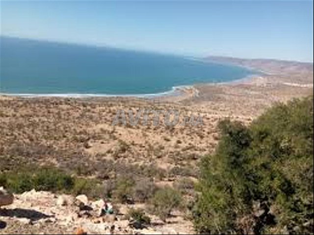 Terrains et Fermes à Agadir, Tamraght : Terrain Titulé de 300 m² à Ait Bihi, Taghazout - 900 000 DH