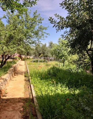 Terrains et Fermes à Vendre à Agadir, Région de Tiznit – 950 000 DH