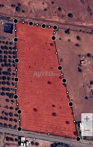 Terrains et fermes à Agadir : 3 hectares en zone cadastrale à 2 500 000 DH, commune de Dair.