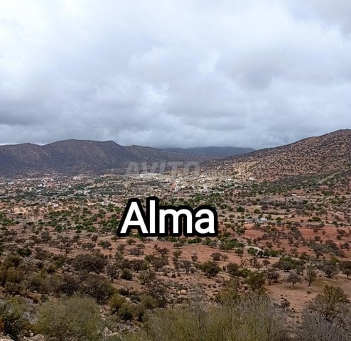 Terrains et fermes à Agadir, Secteur Touristique : Terrain de 500 m² à Alma, pour les amateurs de calme et de nature – 560 000 DH.
