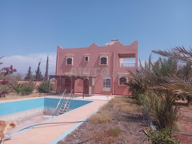 Terrains et fermes à vendre à Agadir : Villa de 12 000 m² avec titre à Eddir - 2 400 000 DH