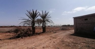 À vendre : 9 hectares titrés pour projet immobilier à Agadir - Contactez-nous pour le prix !