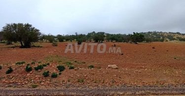 Vente de terrain à Taghazout - Agadir, surface totale de 580 m², 350 000 DH
