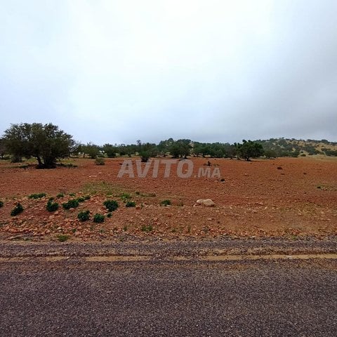 Vente de terrain à Taghazout - Agadir, surface totale de 580 m², 350 000 DH
