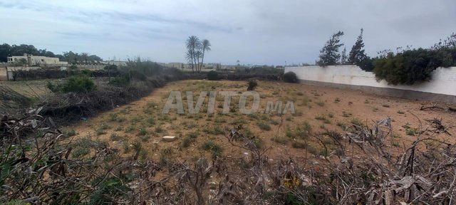 Terrain à vendre à Agadir - Image 2