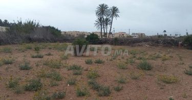 "Terrains et Fermes à Vendre à Agadir, Ben Serguaou - 6 000 000 DH"