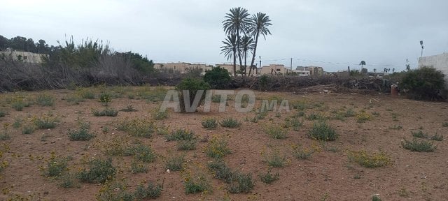 "Terrains et Fermes à Vendre à Agadir, Ben Serguaou - 6 000 000 DH"