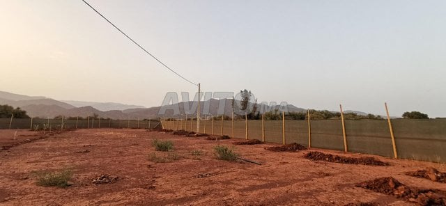 Terrains et fermes à vendre à Agadir – Demandez le prix !