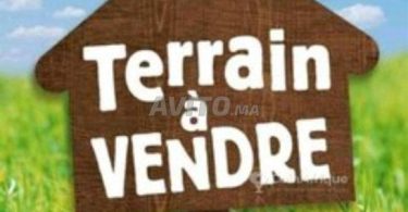 Terrains et fermes à Agadir, Hay Dakhla - Lots commerciaux R2 à découvrir. Prix sur demande.