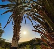 Terrains et fermes à vendre à Agadir : terrain clôturé à Agadir Oufellavente - Prix sur demande