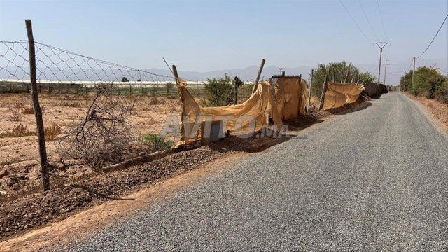À vendre : Terrains et fermes à Sidi Moussa Lhamri, Agadir - Prix sur demande