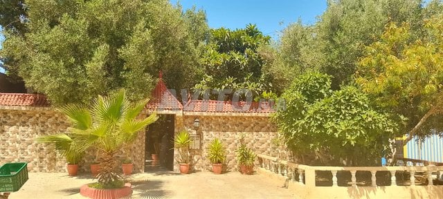 À vendre à Agadir : Villa de charme à Tamri avec vue sur la montagne – 1100 m² pour 6 500 000 DH