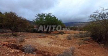 Terrain à vendre à Alma, Agadir - 560 000 DH