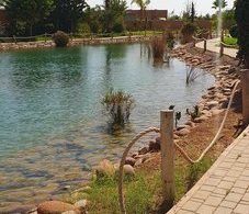 Terrains et Fermes à Agadir : Villa de 847 m² à 940 000 DH