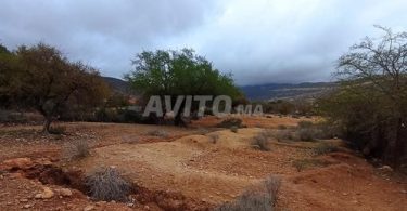 Terrains et fermes à Agadir, Tamraght : Opportunité unique d'acquérir un terrain en pleine nature à 560 000 DH.