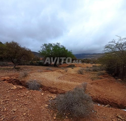 Terrains et fermes à Agadir, Tamraght : Opportunité unique d'acquérir un terrain en pleine nature à 560 000 DH.