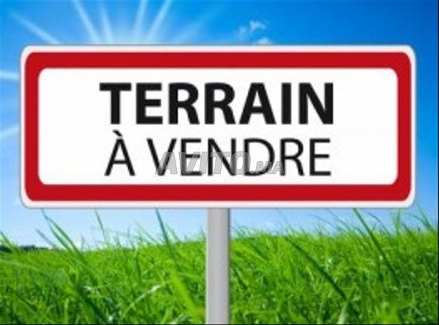 Terrains et fermes à vendre à Agadir : Parcelle de 11 600 m² avec titre de propriété - Prix sur demande