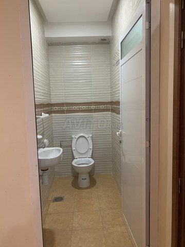 Appartment 8