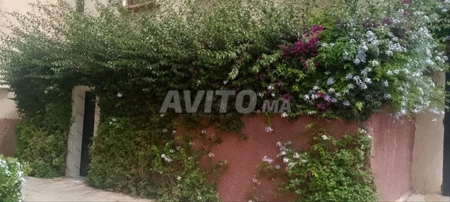 Appartement meublé à louer - 2