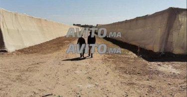 À vendre : Terrain agricole de 7 hectares titré à Tamsia, Agadir – 7 000 000 DH
