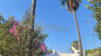 Opportunité d'investissement exceptionnelle à Agadir : Terrains et fermes à Talborjt pour 7 723 500 DH.