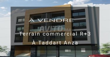 Opportunité rare à Taddart Anza, Agadir : Terrains et fermes à 1 850 000 DH