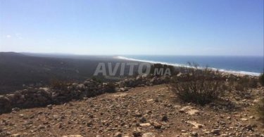 Terrain à vendre à Agadir : 1200 m² à haute Taghazout avec vue sur mer - 140 000 DH