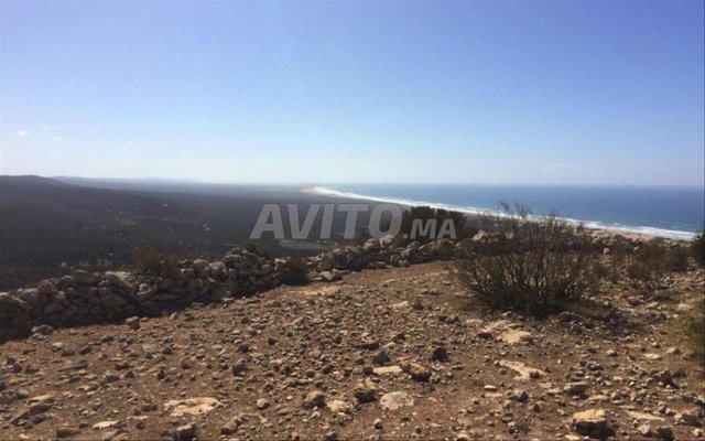 Terrain à vendre à Agadir : 1200 m² à haute Taghazout avec vue sur mer - 140 000 DH