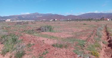 Terrains et Fermes à Agadir : Terrain de 1000 m² à Eddir pour 250 000 DH