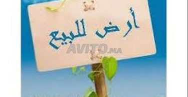 "Terrains et Fermes à Vendre à Agadir, Zone Industrielle - 1 200 000 DH"