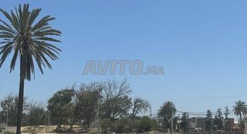 Terrains et Fermes à Vendre à Aghroud, Ben Sergaou - Prix sur Demande (Agadir)