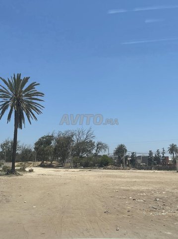 Terrains et Fermes à Vendre à Aghroud, Ben Sergaou - Prix sur Demande (Agadir)