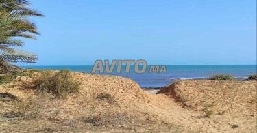 Terrains et fermes à vendre à Agadir : Terrain de 6500 m² près de la plage à Imswan, 1 300 000 DH.