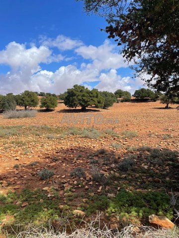 Terrains et fermes à vendre à Bouigra, Ait Mellk - Agadir. Prix sur demande.