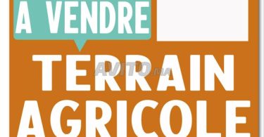 Terrains et fermes à vendre près d'Agadir : vaste parcelle de 700 hectares à Tiznit Ikhsas. Demandez le prix.